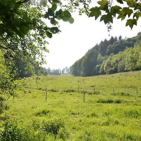 Group Escape By Molignee River *