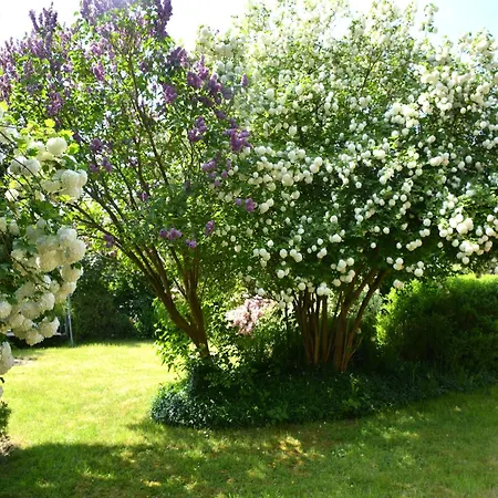 Group Escape By Molignee River * Denee