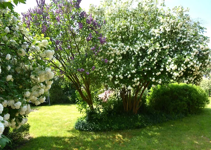 Group Escape By Molignee River * Denee